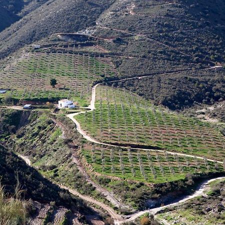 Cortijo El Rancho Villa Albanchez Dış mekan fotoğraf