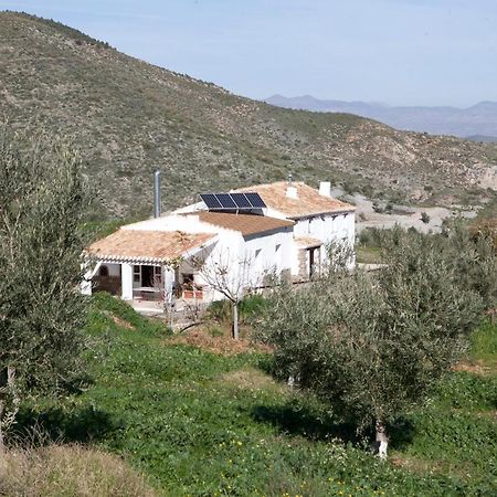 Cortijo El Rancho Villa Albanchez Dış mekan fotoğraf