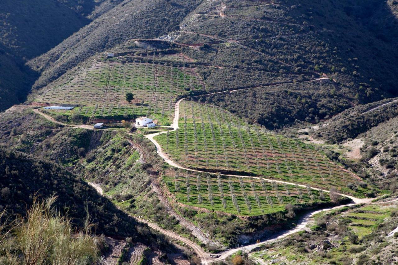 Cortijo El Rancho Villa Albanchez Dış mekan fotoğraf