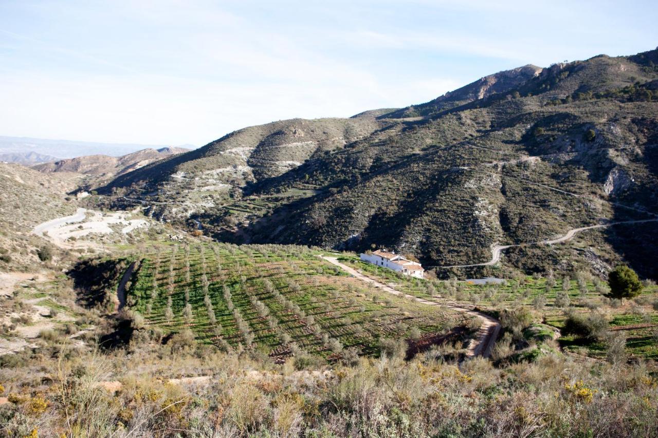 Cortijo El Rancho Villa Albanchez Dış mekan fotoğraf